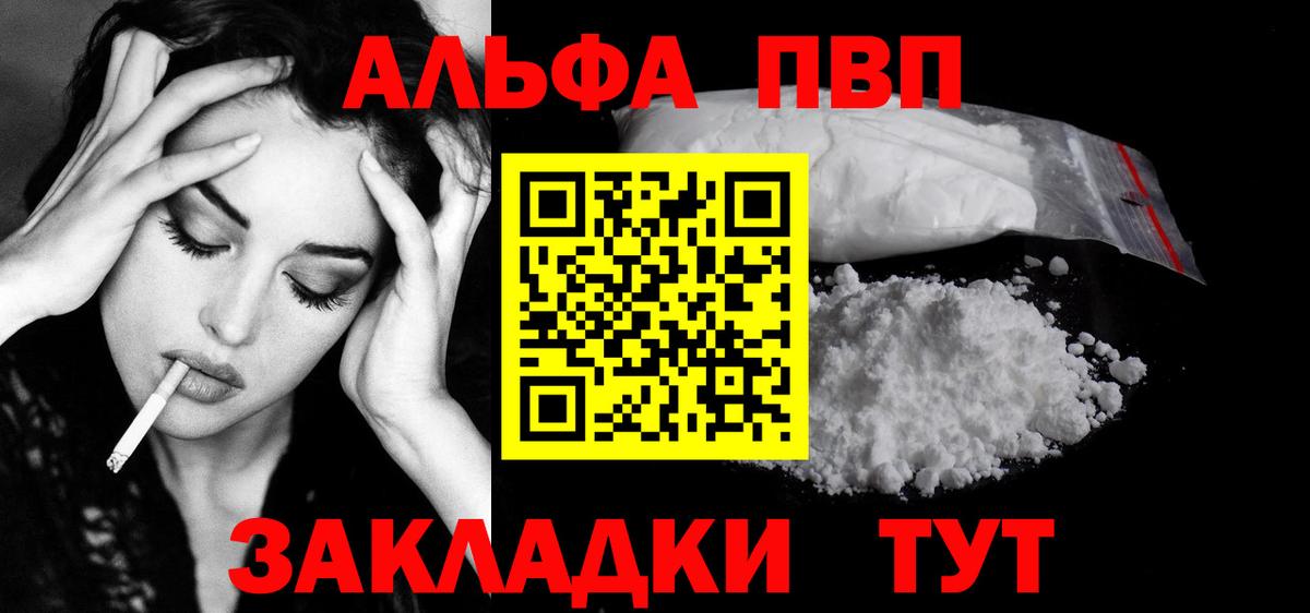 Alfa_PVP СК Калининград