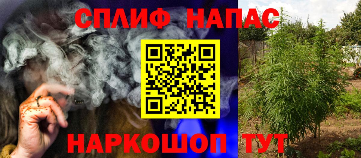 Каннабис сатива  Вход с VPN  Бошки марихуана марихуана  Калининград  Бошки марихуана SATIVA & INDICA 